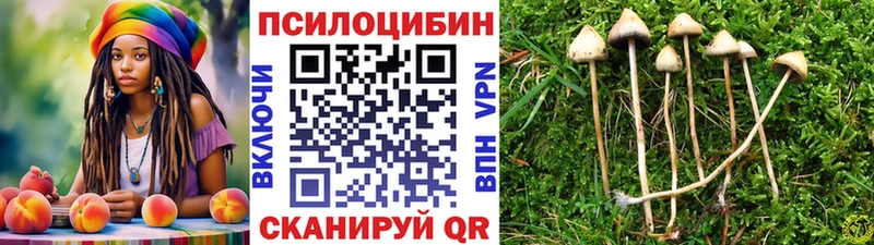 Купить закладки  Вяземский  Галлюциногенные грибы MAGIC MUSHROOMS 